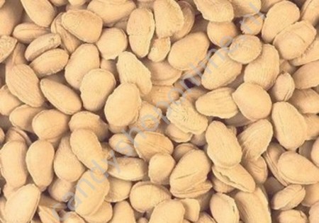 HollandF Haverstro pitten 200 gram