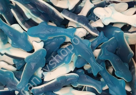 Frisia Blauwe Haaien